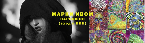 стафф Верея