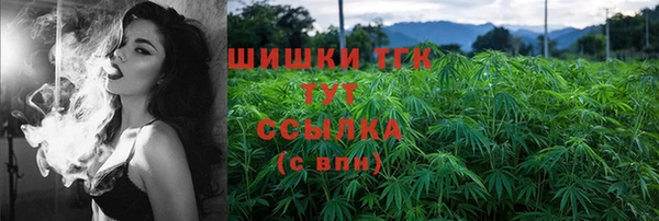 индика Бронницы